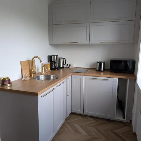 公寓 Lindalya 派尔努