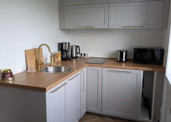 公寓 Lindalya 派尔努